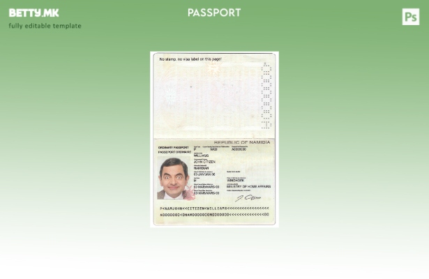 Шаблон за пасош на Намибија во модерен стил